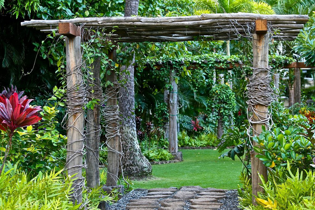 rustic wooden arches in a garden