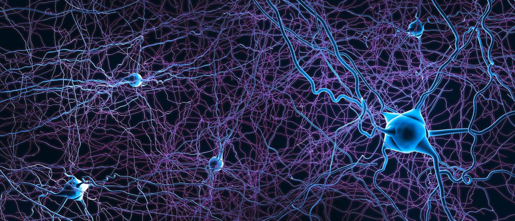 purple and blue neurons